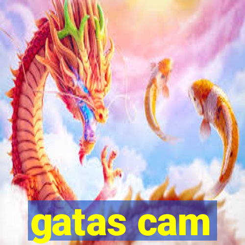 gatas cam